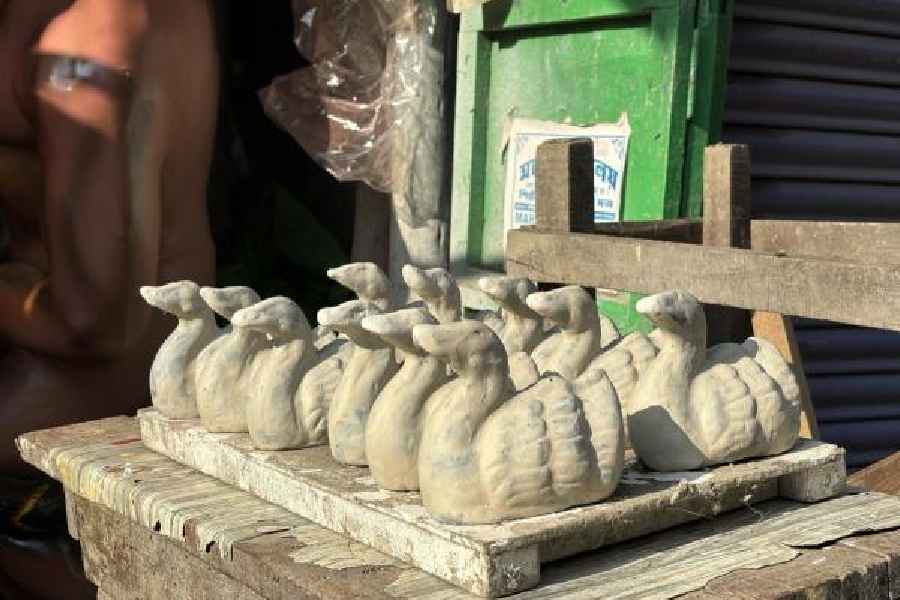If you shoot in ProRAW, it will be easier to crop into a photo without compromising on details