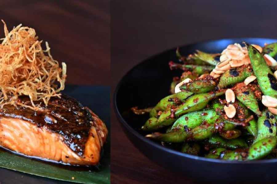 (L-R) Salmon Teriyaki has the fish grilled with salt and pepper with teriyaki sauce on the side that is meant to be poured on top of the dish. The complex flavours -- sweet, salty, tangy and salty of teriyaki, blends perfectly with salmon, You just cannot stop bingeing on Spicy Edamame. Fresh edamame sautéed with chilli garlic in sesame oil and topped with roasted peanuts and chef’s special spices make it addictive