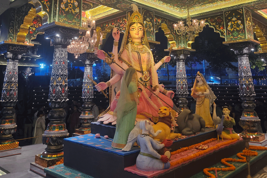 New Town Sarbojonin Durga Puja