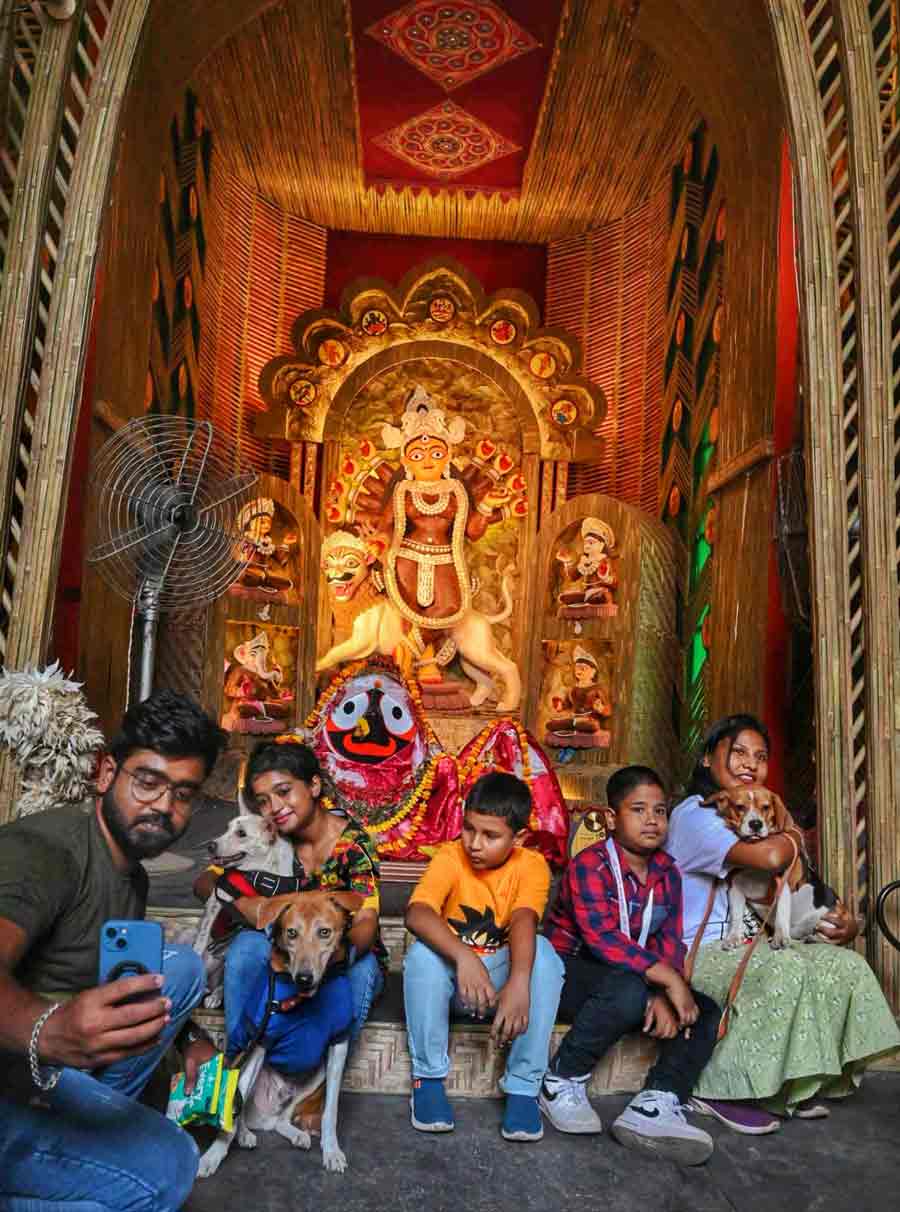 It was a pawsome-awesome experience for puja revellers who visited the pet-friendly Bidhan Sarani Atlas Club’s Durga Puja pandal 