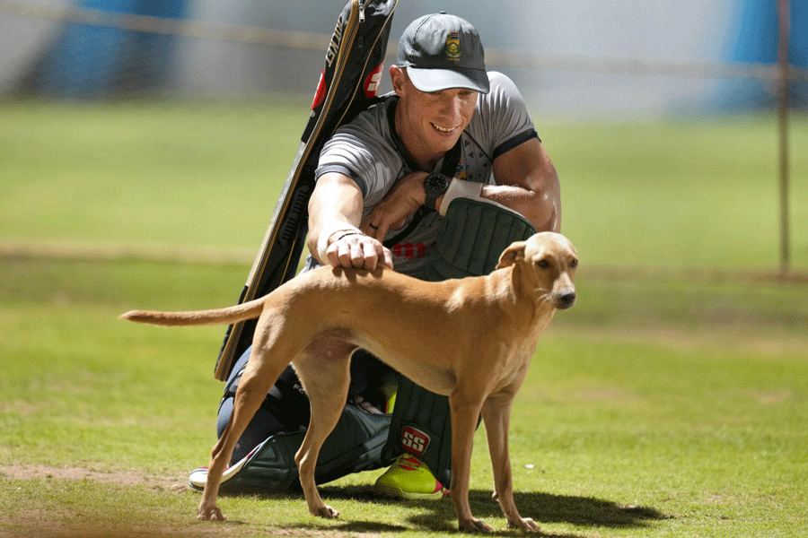 South Africa’s Rassie van der Dussen gets a ‘visitor’ on the sidelines of the team’s practice session in Chennai on Thursday.