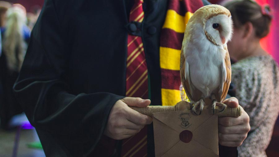 Some of us muggles are still awaiting the Hogwarts letters lost in the mail