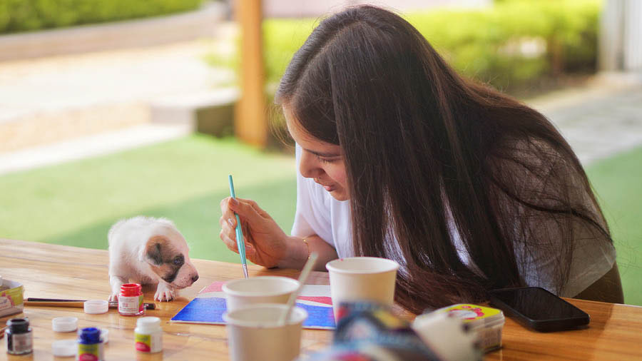 Puppies and painting – Pawasana’s inaugural workshop in the city on September 3 was a blend of two of the most therapeutic things known to us. “Painting with these small, beautiful puppies was an amazing experience, and their love was so infectious. I just couldn’t take my eyes off them,” smiled Tanushri Jhunjhunwalla, a graphic designer