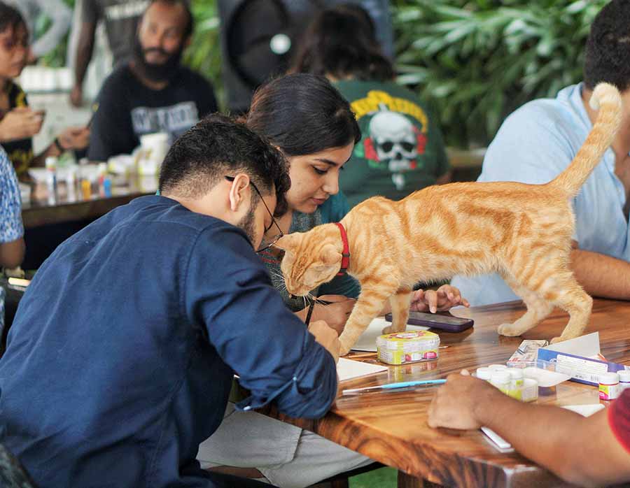 The idea behind the workshop was simple: ‘Painting with a cause’. Pawasana brought adorable indie puppies and cats who needed a home to The Backyard in Topsia, and made them the artistic companions of people engaged in painting. “We started India’s first ‘paint for a cause’ in order to remove the judgements people reserve for indies. The idea is to provide a safe and loving environment for them, with a community that helps us spread awareness and promote adoption. All our events double up as adoption drives,” said Annanya Nautiyal and Anwar Khan, founders, Pawasana