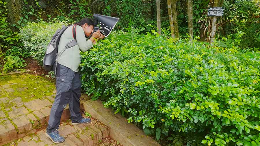 A participant shoots a butterfly using a flash and diffuser