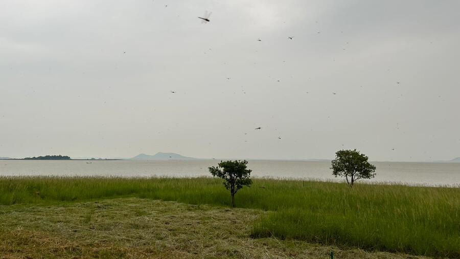 The view from the balcony of the old building at Debrigarh Nature Camp