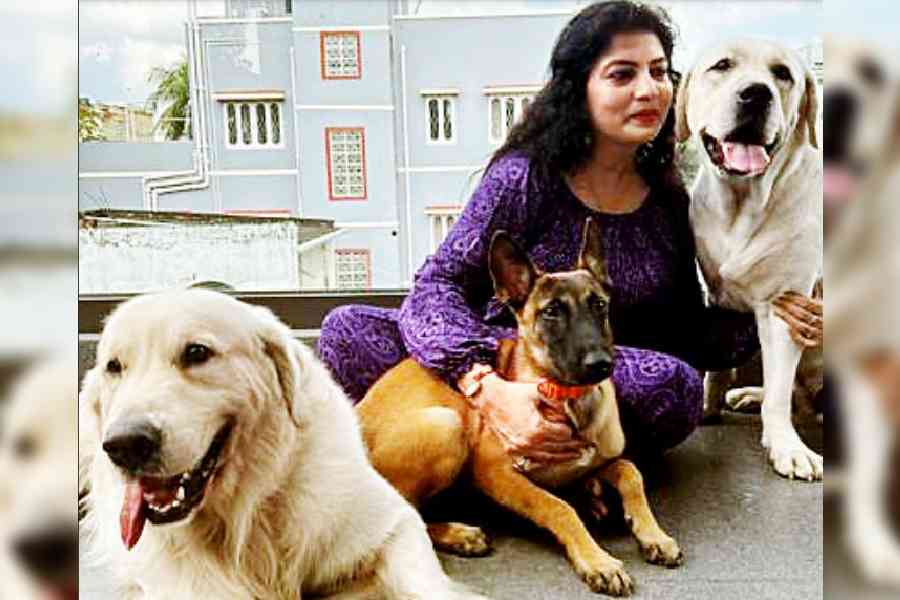 Amrita De with her pets Enzo, Lucy and Jacky