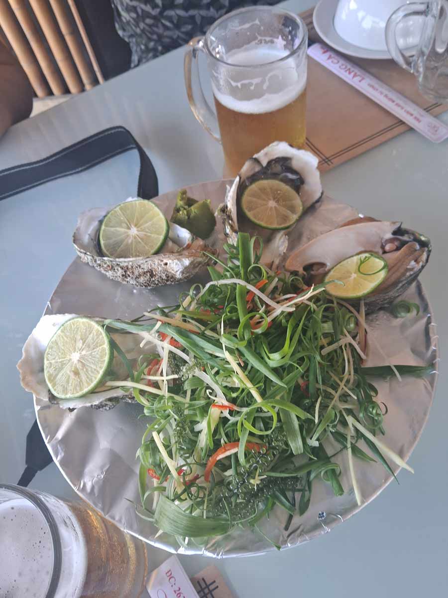 Oysters and Abalone: This plate of seafood was found in Da Nang. You pick your seafood from their market and they prepare it to your liking. We went for a couple of oysters and abalone. While it tasted fresh, with a hint of umami and lime, the abalone was moving! The mollusc was served in its shell, sashimi style and on squeezing the lime, you could see it squirm in its shell. The meat itself had a mouthfeel of cartilage