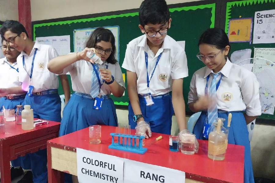 Science exhibition at Apeejay Schools
