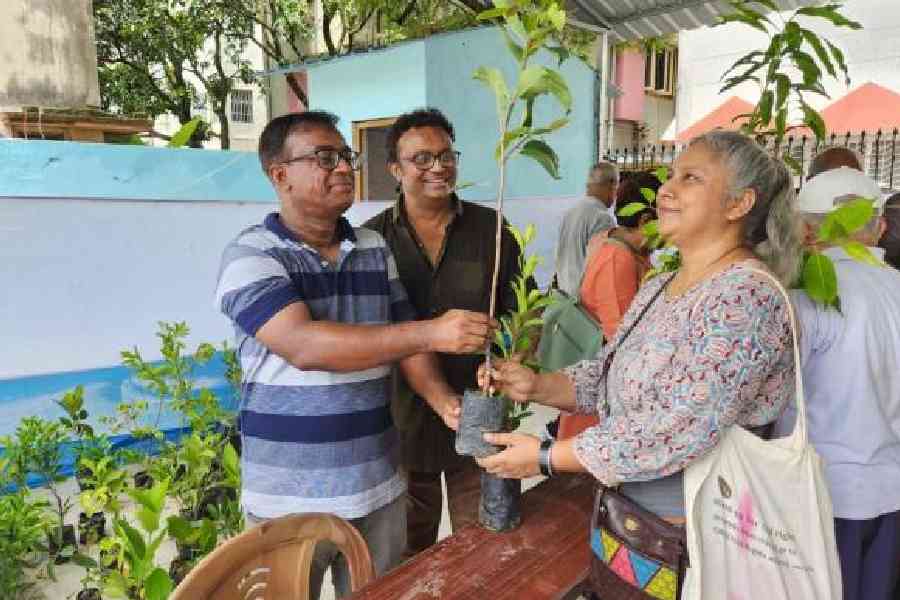 Members of the horticulture society hand over saplings