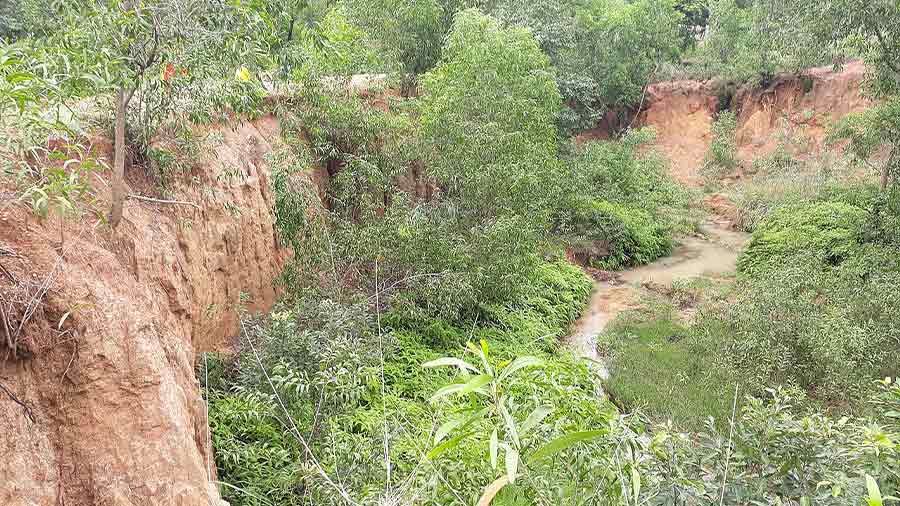The Khoai in Santiniketan