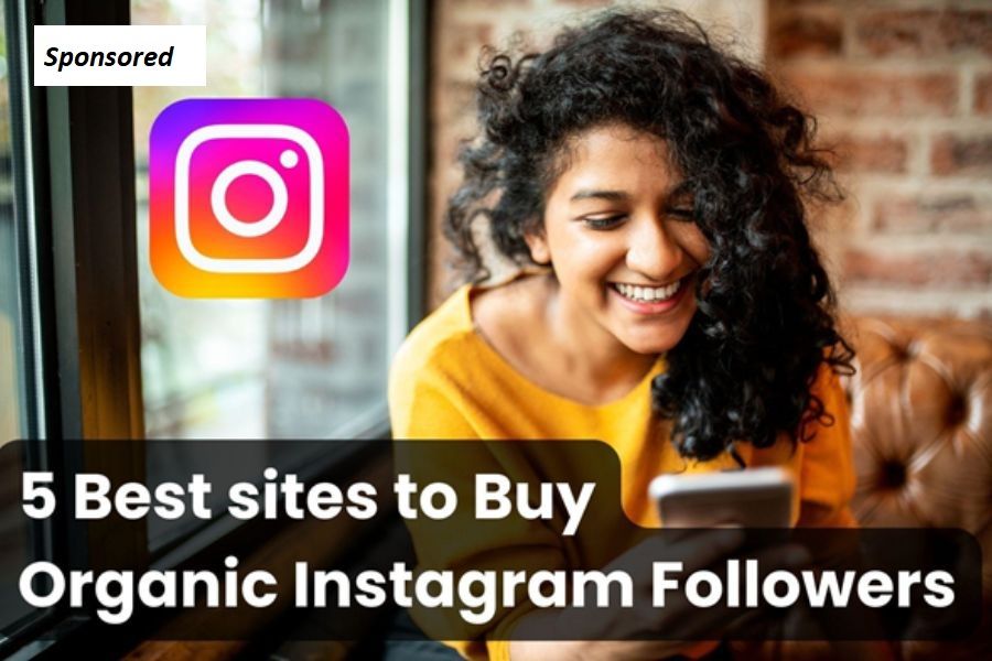 Organic Instagram  Followers