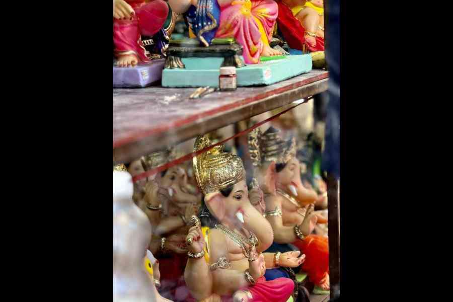 Apeksha added depth using the new 5x mode on the Pro Max. It helps cut through the clutter