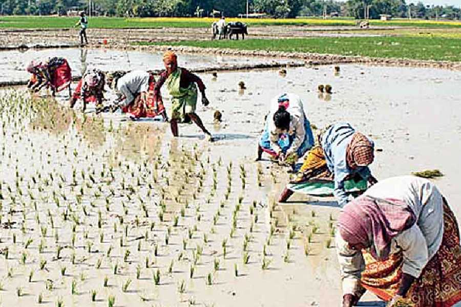 Representational Picture