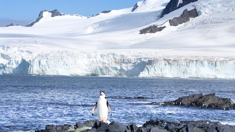 Into the enchanting, snow-covered world of Antarctica — Part II