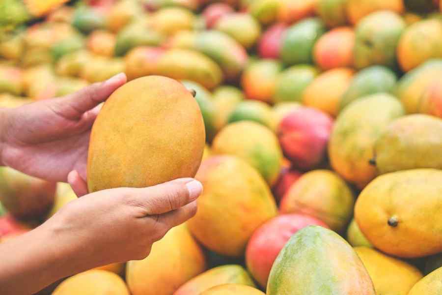 artificial ripening | FSSAI issues safety alert on fruitsellers using calcium carbide for artificial ripening - Telegraph India