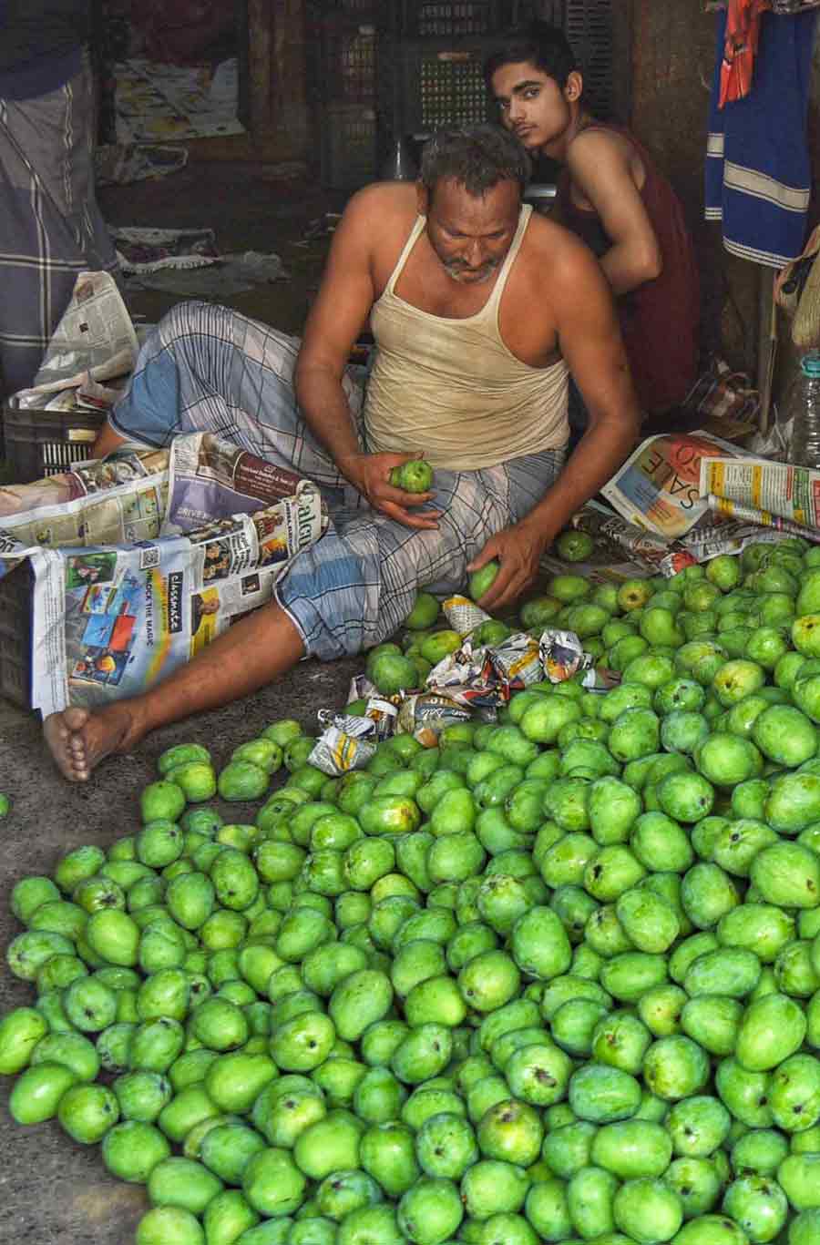 Raw mangoes have arrived in abundance at the Mechua market  