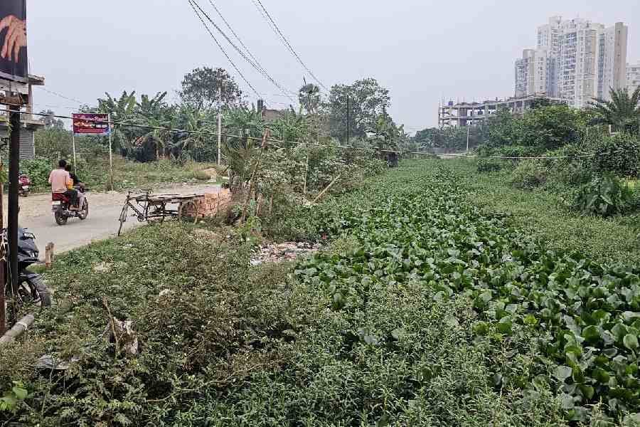 The original state of the periphery canal on one side of the road in Action Area III, New Town ahead of Shukhobrishti.