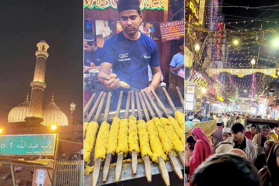 Fruits and sharbats, to the green dhaniya-flavoured kebabs, brown mutton seekh kebab and orange-brown chicken tandoori all put together make Jama Masjid food street an arena of vibrant energy