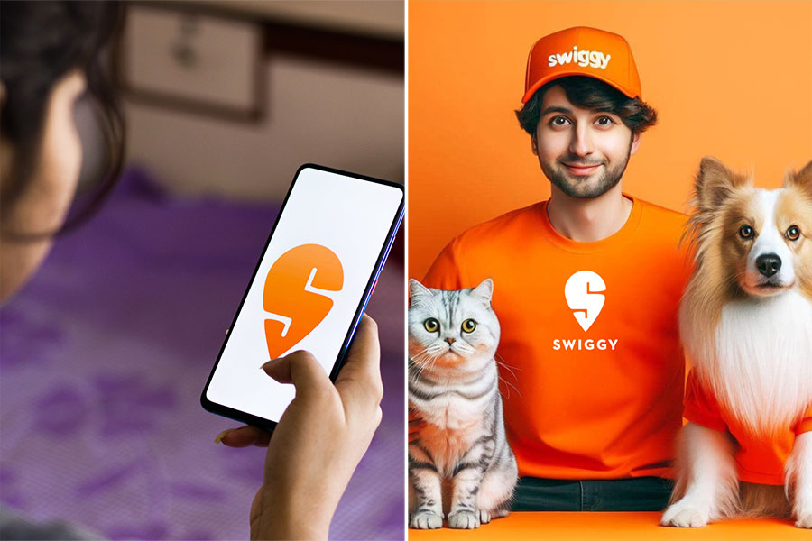 Launched on National Pet Day, this feature is part of Swiggy’s new pet-friendly policies aimed at helping you find your lost pet
