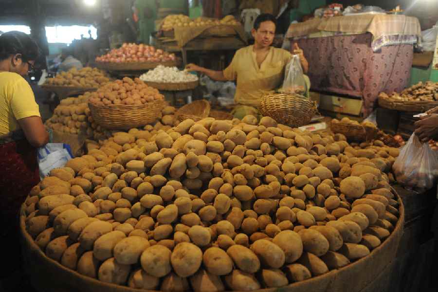 Potatoes being sold at a city market.