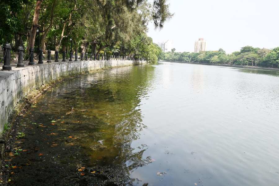 A pile of slush visible along the banks of Rabindra Sarobar on Monday. The dip in the water level is most prominent near the banks of the lake.