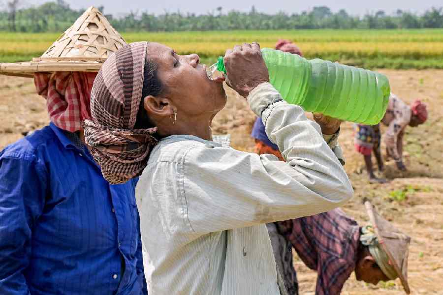 A labourer drinks water on a hot summer day at an agricultural field, in Nadia.