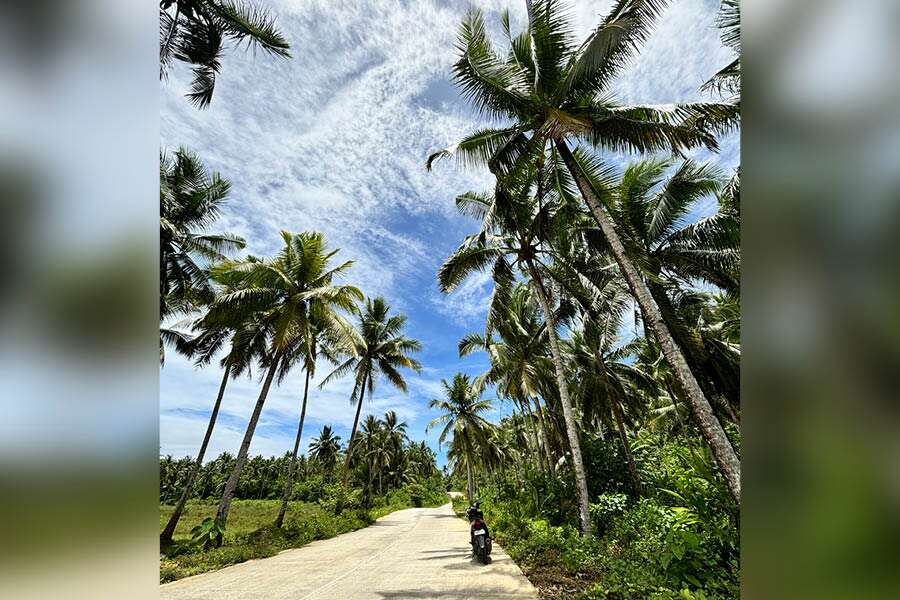 The island has very little traffic and a motorcycle ride is a dream amid the lush green surroundings.