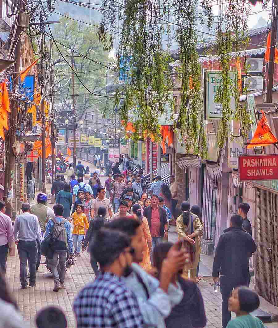 Be it walking down Mall Road in Darjeeling or being one with nature in its many surrounding hills, which are still experiencing a high of 22ºC and a low of 13ºC, is the most pleasant thing Kolkatans have felt till mid-February or so in the City of Joy