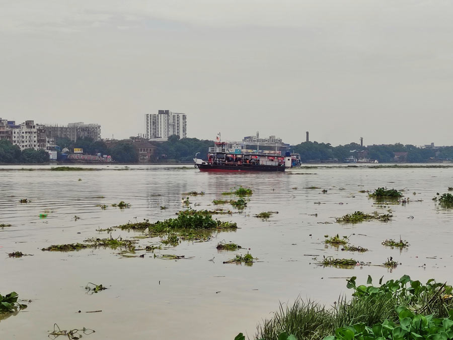 Water hyacinth float in the Hooghly waters at Ahiritola Ghat in north Kolkata