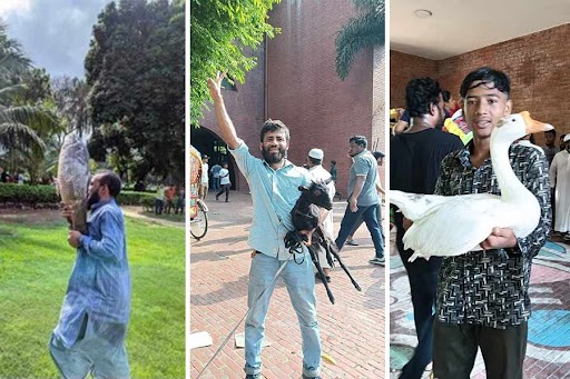 Protesters inside the 'Ganabhaban' on Monday, with Sheikh Hasina's once owned belongings including her pet animals.