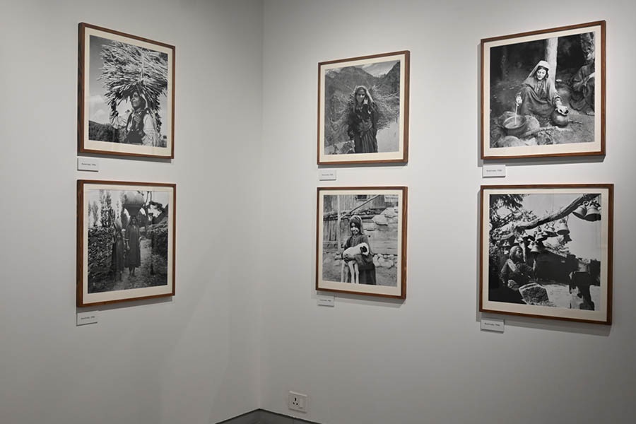 A glimpse of the exhibits of the ongoing event in the gallery 1