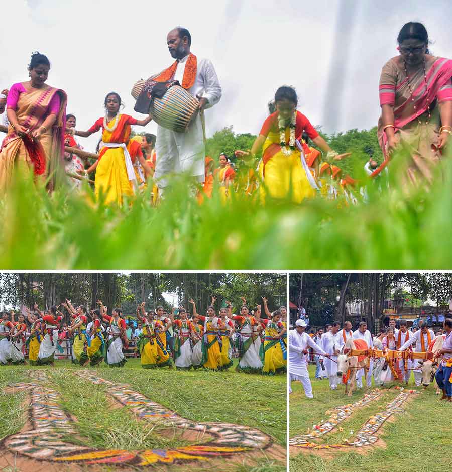 Bengali writer Jaya Mitra and acting vice-chancellor of Visva-Bharati Arabinda Mondal plough a field as a customary gesture to mark the 97th Halakarshana festival at Sriniketan in Birbhum district on Thursday  