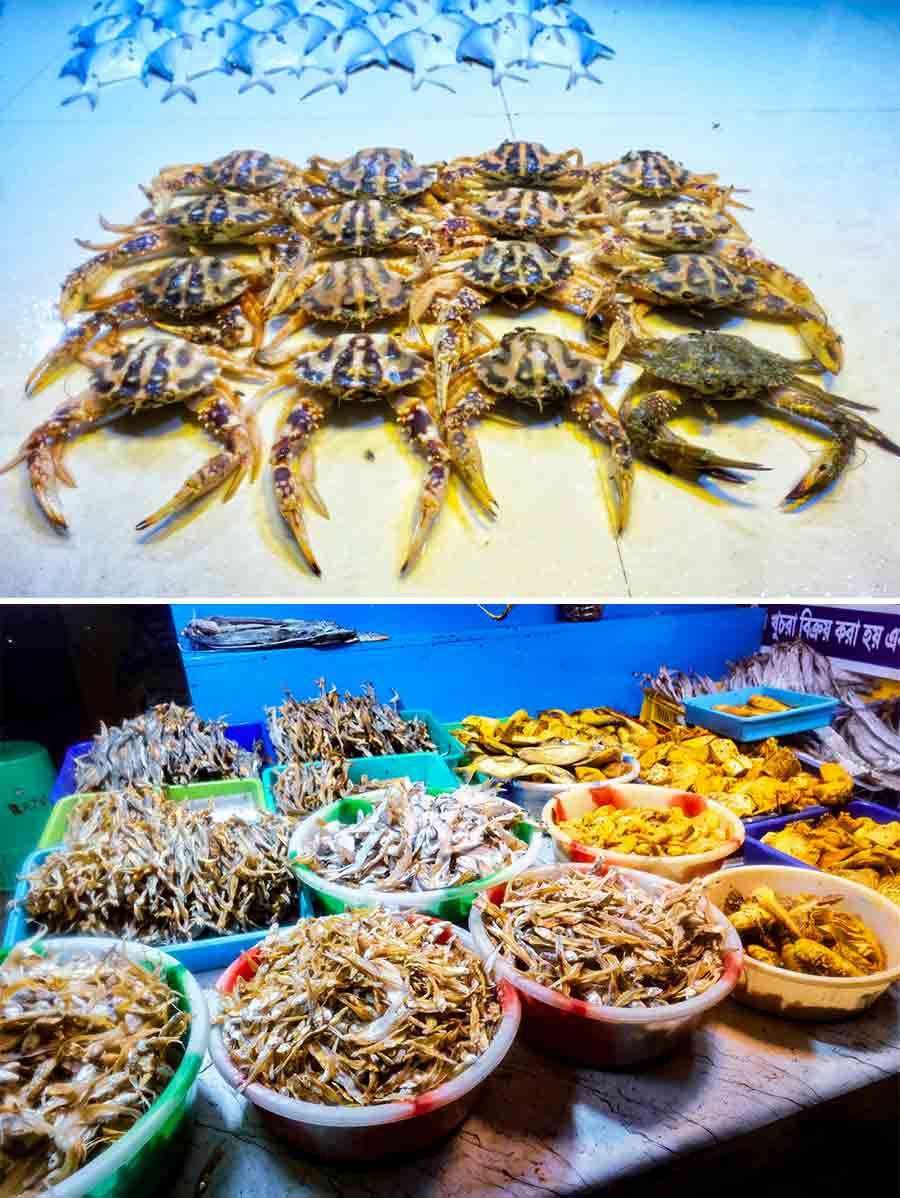 The vibrant nightlife is complemented by the availability of fresh seafood, including crabs, pomfrets and dried fish delicacies, offering a delightful culinary experience while tourists gaze at the restless sea