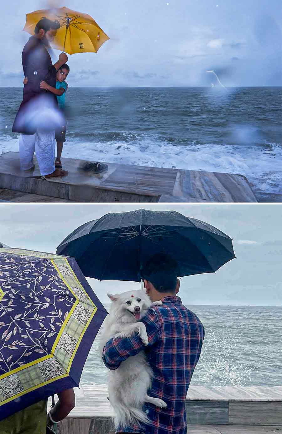 The rain-soaked sand and dramatic cloudscapes attract many visitors who come to experience the serene yet lively ambience, be it with (top) child or (above) pet