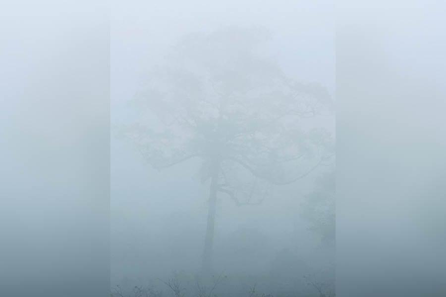 ‘Landscape in the mist’