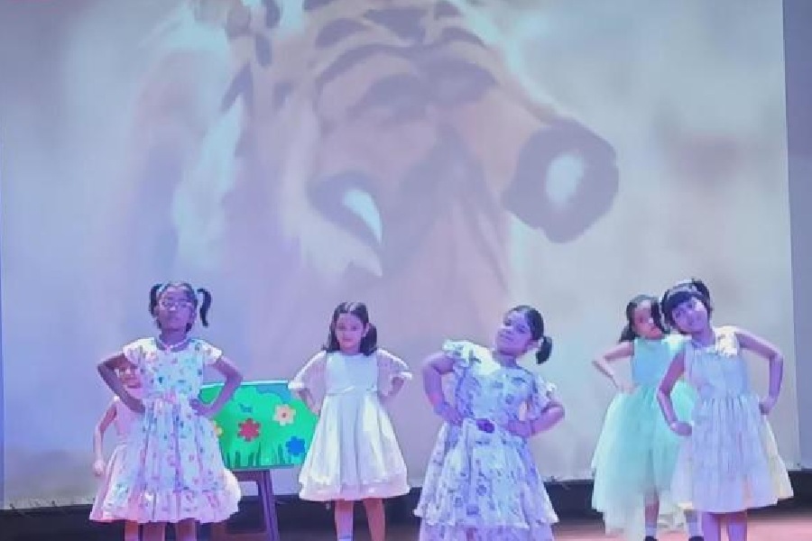 Shri Shikshayatan International Tiger Day Celebrations 