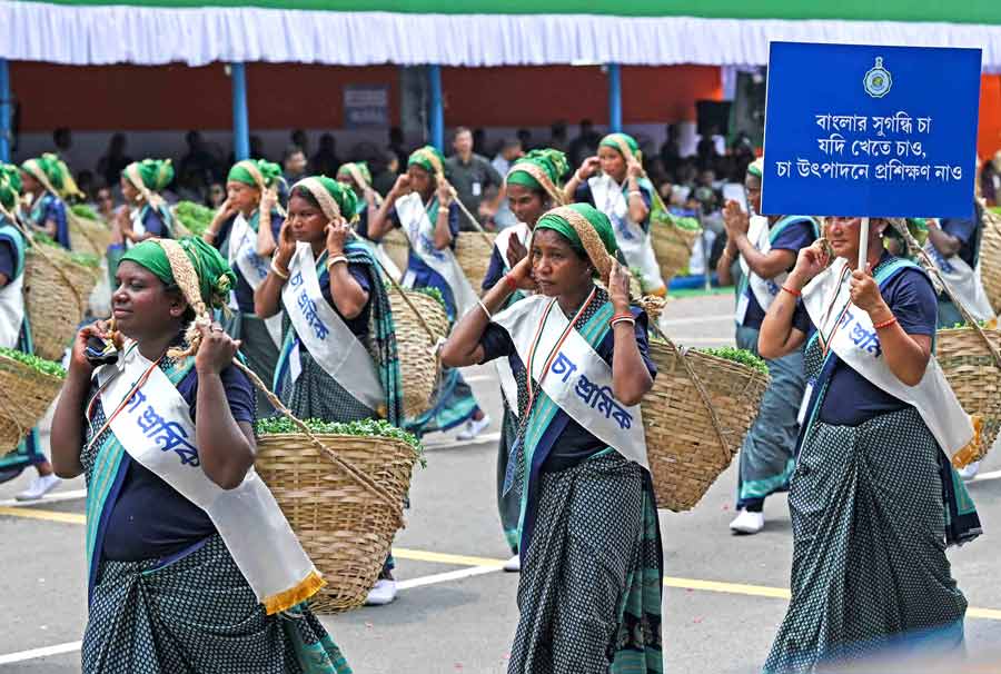Tea garden workers with their baskets to collect tea leaves painted a pretty picture in the parade