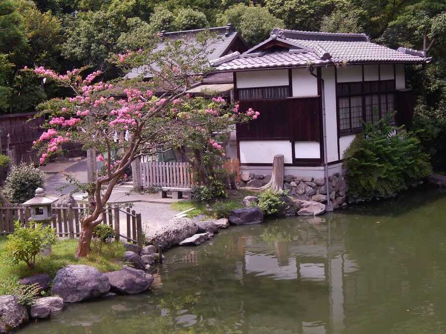 Japan, 2014: They say Kyoto should be your first impression of Japan. I agree. Kyoto retains the flavour of the Japan of yesteryears. The calm, the zen gardens, the ryokans, the temples — you want to see them before experiencing the high-energy Tokyo or Osaka. This is part of the Imperial Palace Park