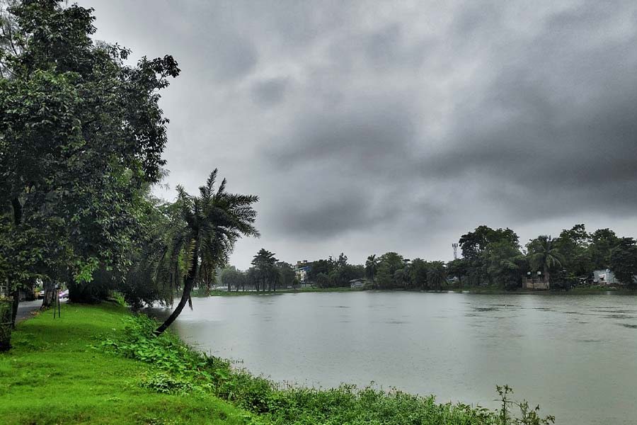The ponds brim with clear, swelling sheets of water