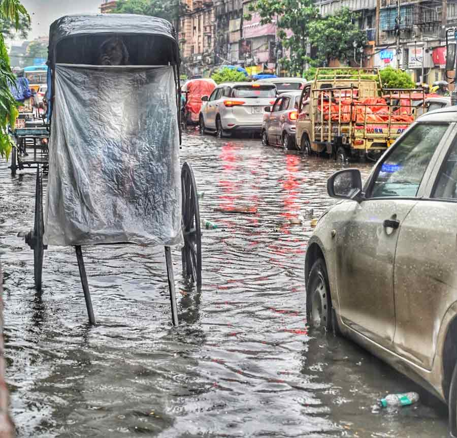 It was a rainwashed week in Kolkata as a low-pressure area loomed over south Bangladesh and neighbouring areas. The city received 36mm rainfall between August 22 and 23  