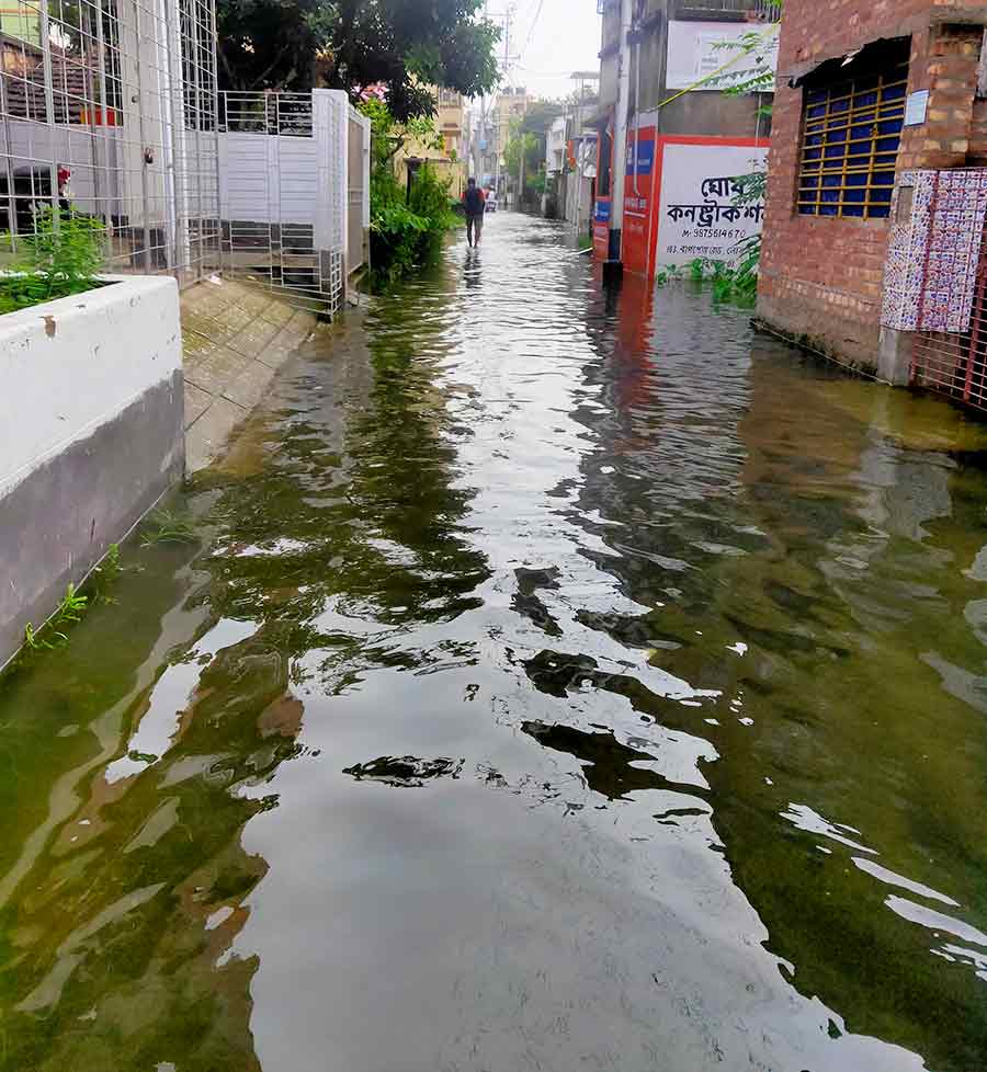 Jadav Ghosh Road, Sarsuna on August 22