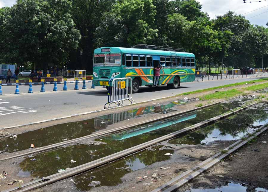 Puddles formed on unused Esplanade-Kidderpore tram tracks can be ideal breeding spots for dengue larvae 
