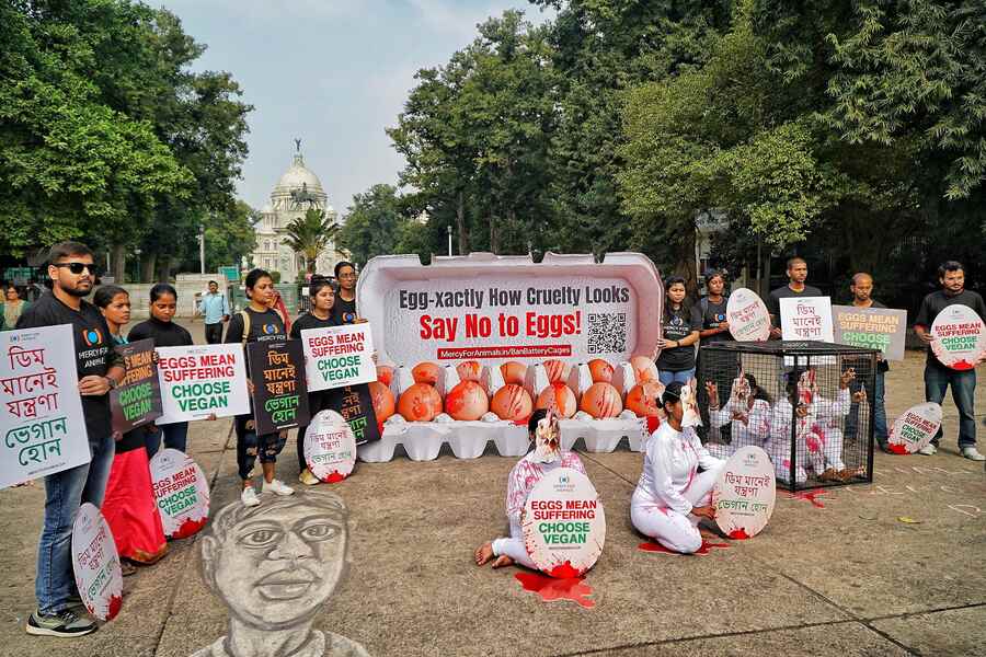Members of Mercy for Animals India protest in front of Victoria Memorial on November 28 against cruelty of the egg industry and how egg-laying hens are treated across the world  