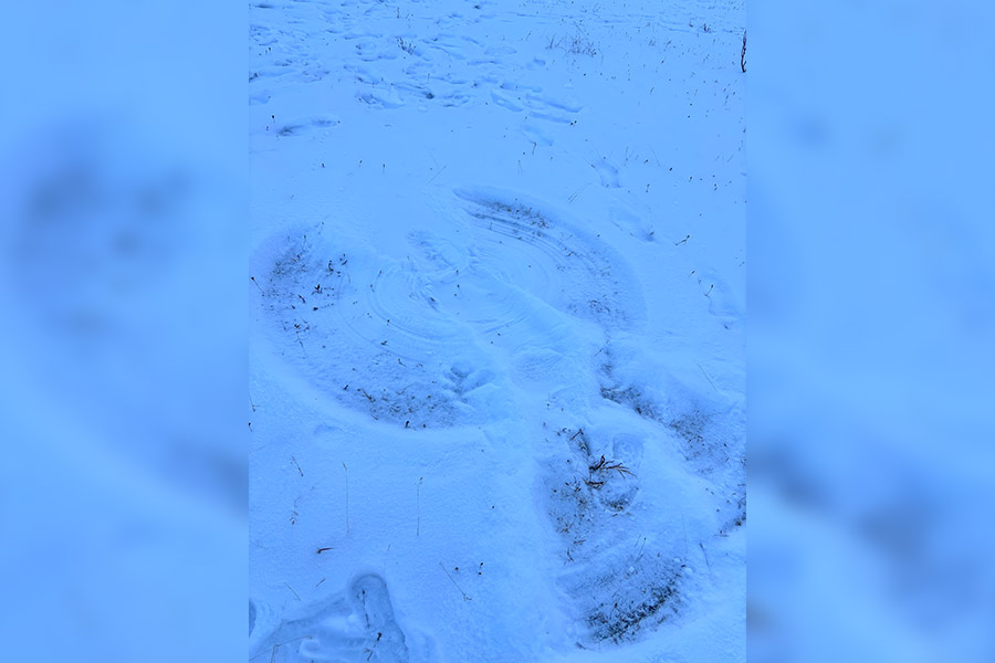 ‘ I decided this was the perfect place to make my first-ever snow angel!’