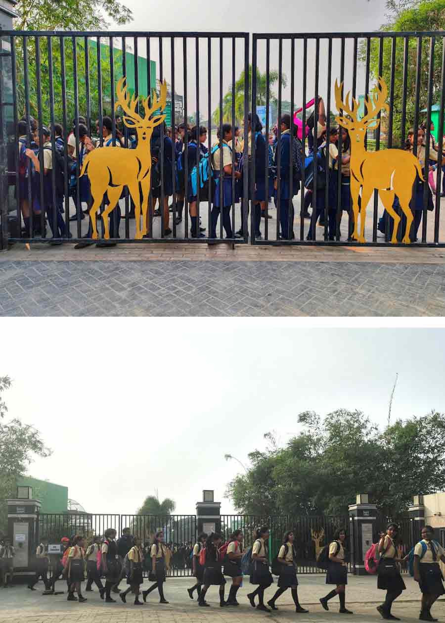 If Alipore Zoo doesn’t appeal you any more, next Sunday you might drive down to Harinalaya Mini Zoo opposite gate numbers 5 and 6 of Eco Park in New Town following Google Maps. The long road leading to the Eco Park gates and Dhamsa Kitchen offers ample parking space for a one-time parking fee of Rs 50 for four-wheelers. Two installations of bright yellow antlers on the black iron gate welcome you to the 12.5-acre zoo developed by West Bengal Housing Infrastructure Development Corporation (WBHIDCO) against an entry free of Rs 50 for adults and children above the age of five, payable in cash or UPI. Free entry below age five. No other payment option or pre-booking is available. The zoo is open from 10am to sundown in the winter months, and till 6pm in summer