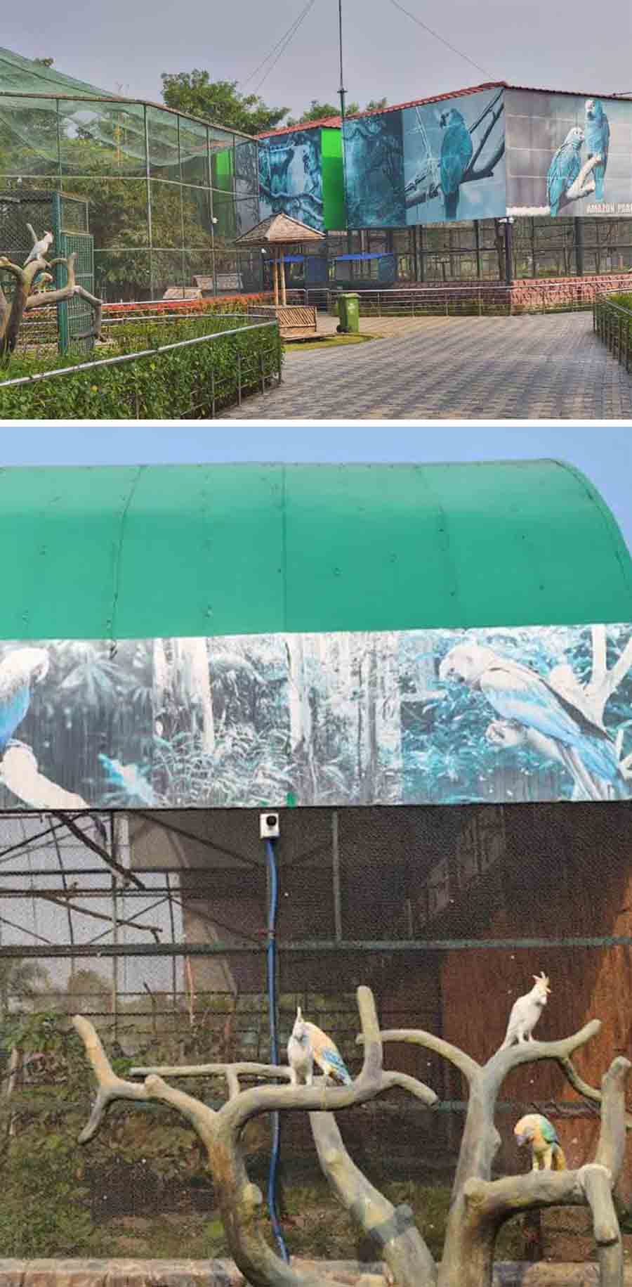 Concrete sculptures and large images of birds have been strategically places across the mini zoo 