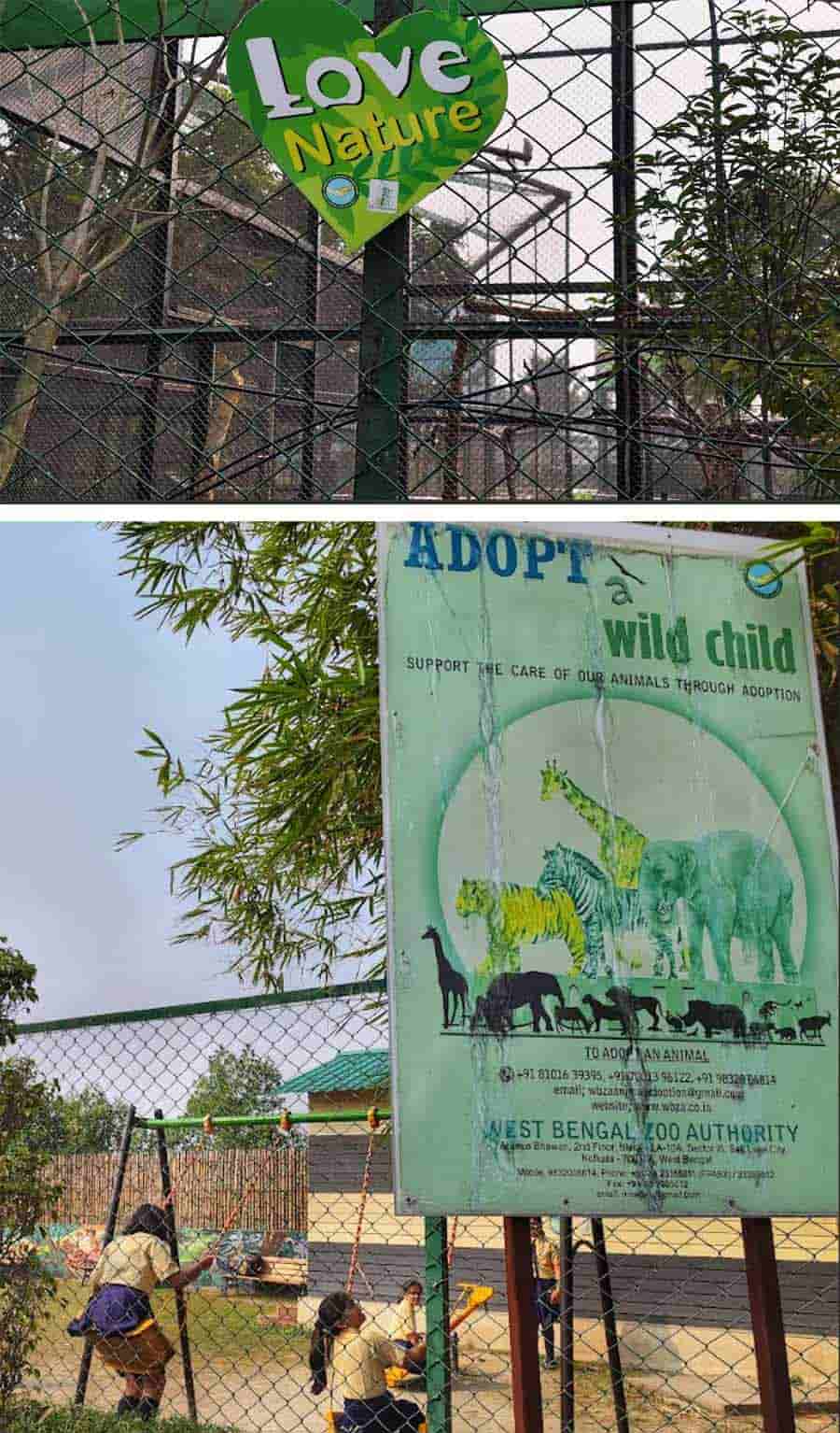 Signboards encouraging animal and birds and hoardings carrying green messages are installed at many points of the mini zoo