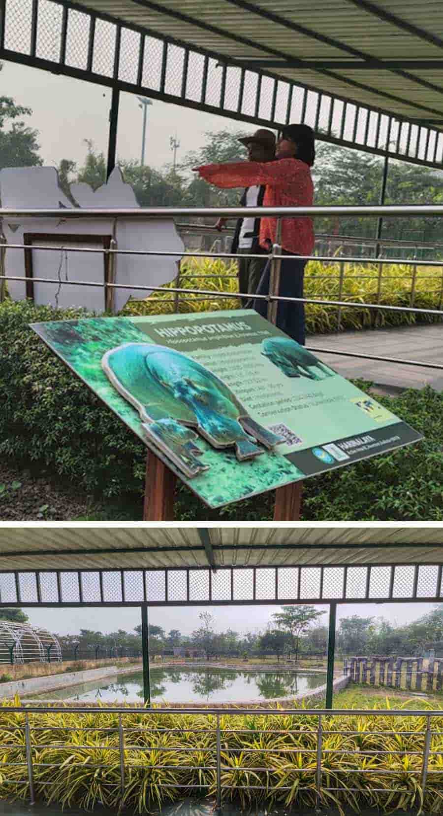 The covered shades and enclosures allow visitors to watch the antics of the inmates in leisure but summer months could be tortuous 