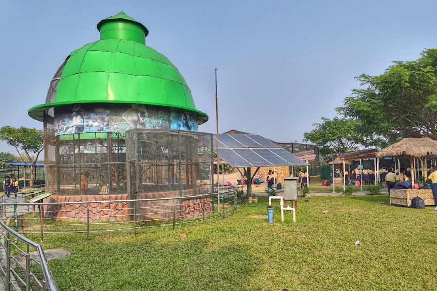 Visitors could be seen enjoy badminton, flying discs and other games even as the children having fun on the rides. A pair of Bengal tigers will soon arrive at Harinalaya, just in time for the Christmas festivities